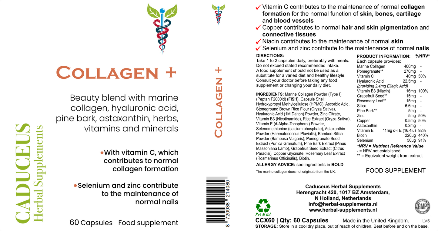 Collagen+ 60 capsules