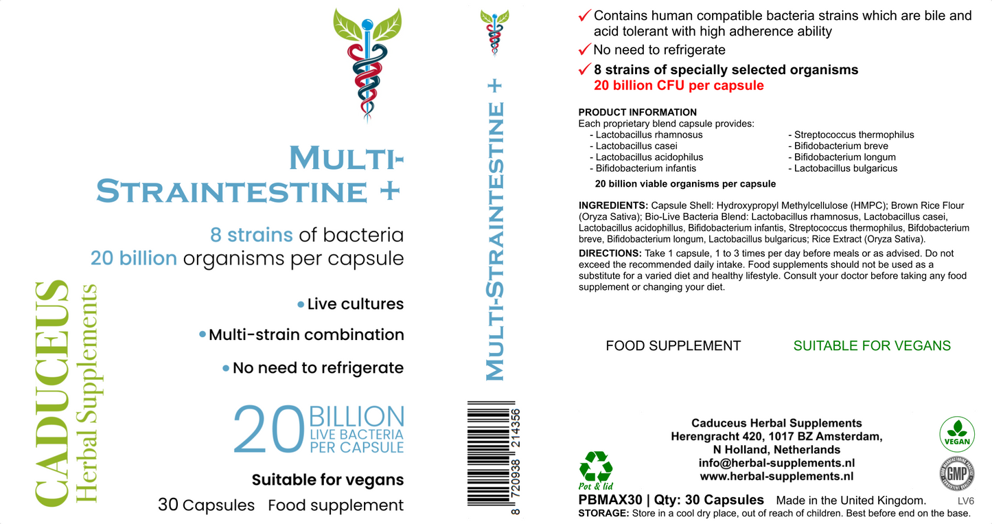 Multi-Straintestine 30 capsules