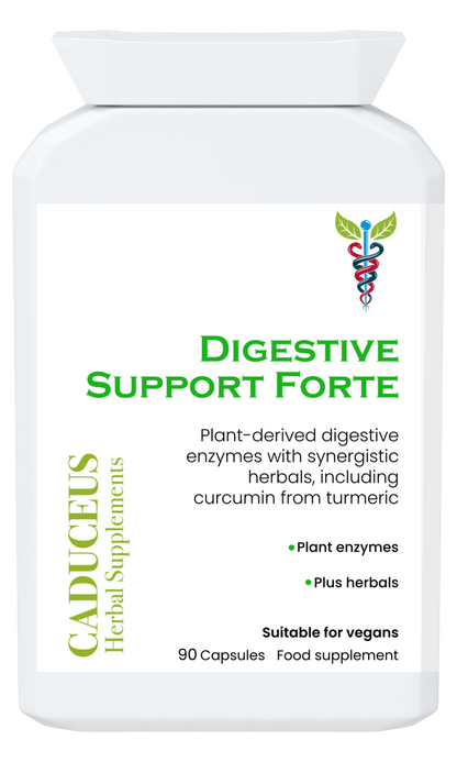 DIGESTIVE Support Forte 90 capsules