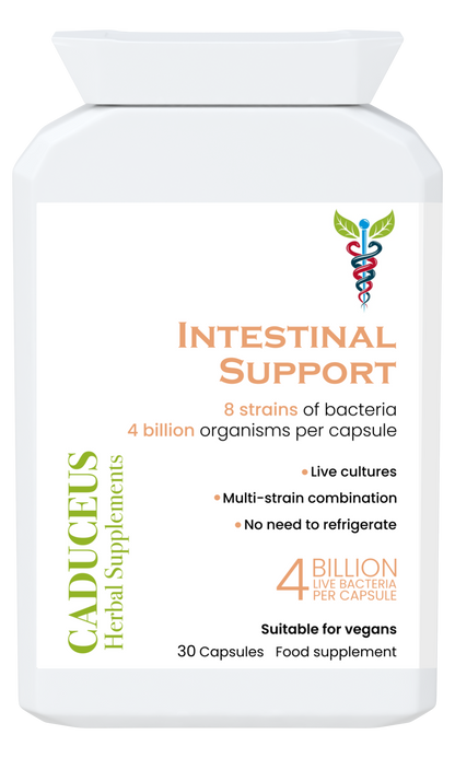 Intestinal Support 30 capsules