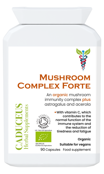 Mushroom Complex Forte capsules 90