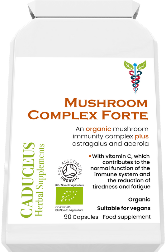 Mushroom Complex Forte capsules 90